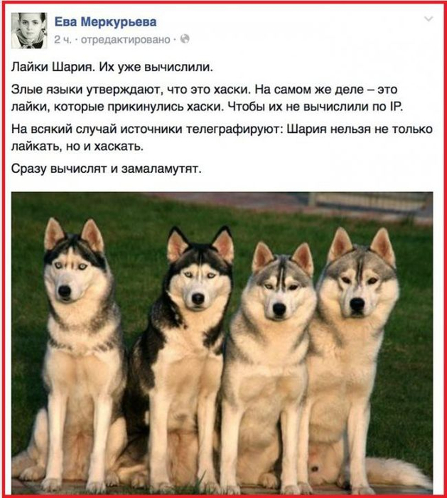 6в (629x700, 352Kb)