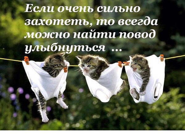 image (600x450, 248Kb)