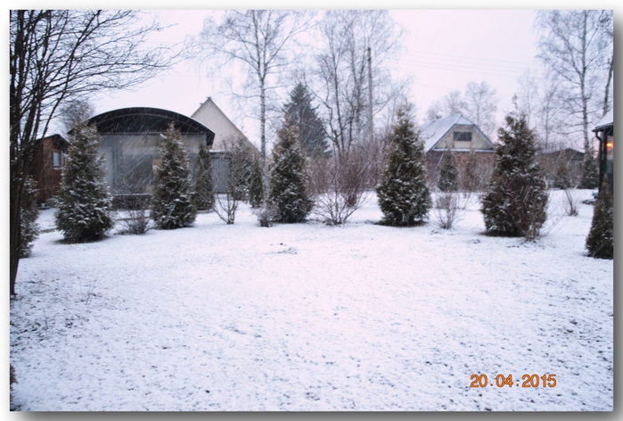 3587765_DSC_3421 (700x472, 263Kb)