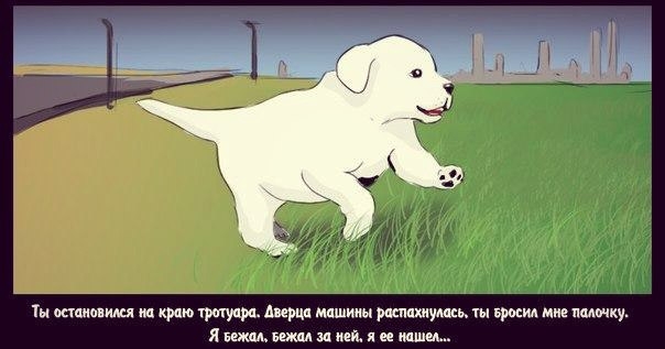 3 (604x317, 84Kb)