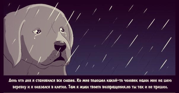 6 (604x315, 79Kb)