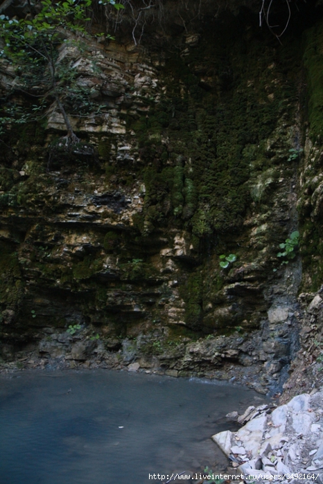 IMG_8942 (466x700, 290Kb)