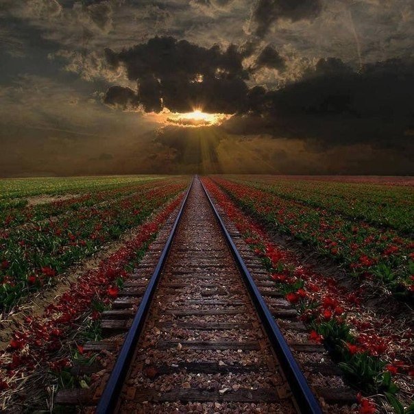     (604x604, 97Kb)