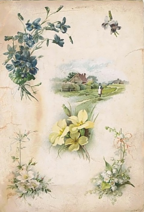 1907-1 m (477x698, 73Kb)