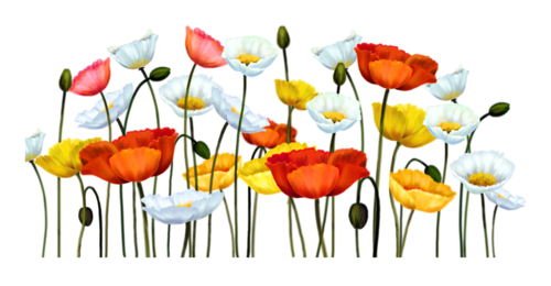 png (500x260, 155Kb)