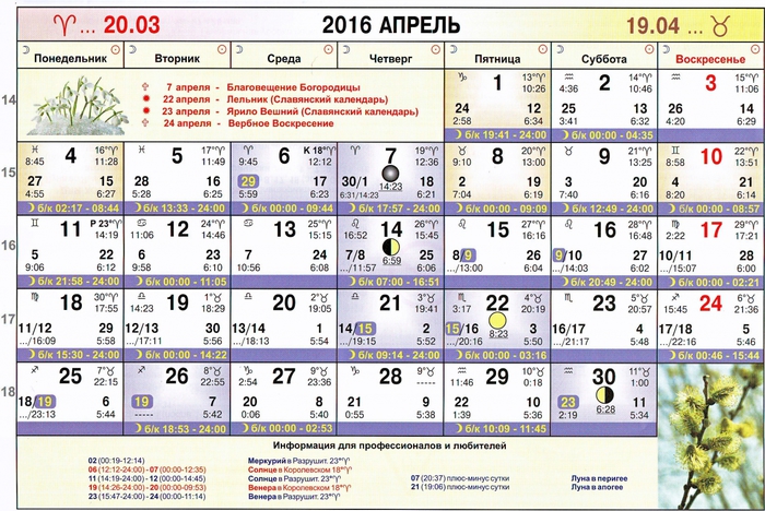 Садовый календарь на апрель 2024г