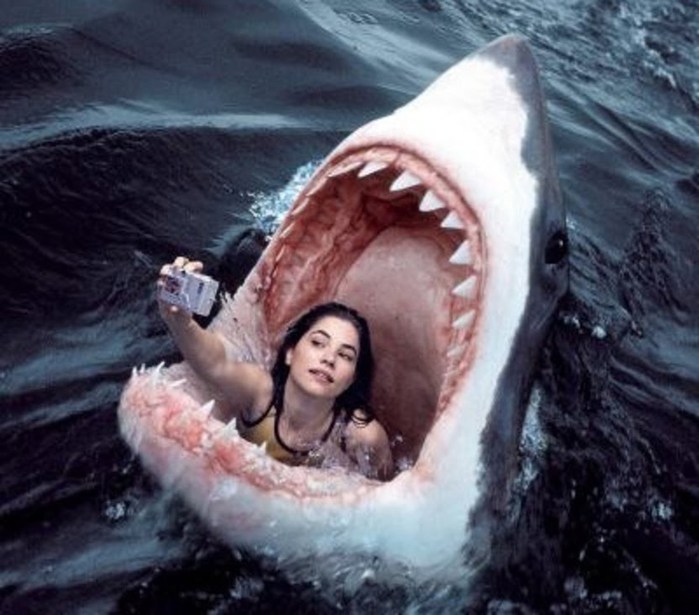 selfie (700x615, 83Kb)