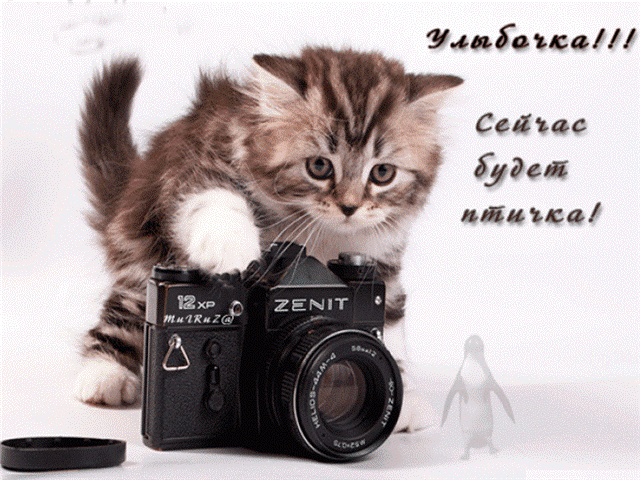  (24) (640x480, 949Kb)