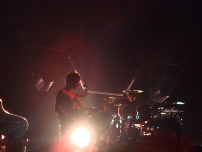 muse5 (700x525, 62Kb)