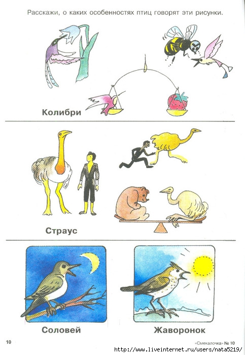 Разрезные картинки для детей 6 7 лет птицы