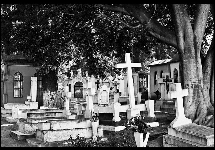 3165375_Shot_2011_6_2__17_11_44__Cementerio_Municipal_de_Morelia___FotoKR_Blog__Mozilla_Firefox_firefox_exe (700x487, 188Kb)