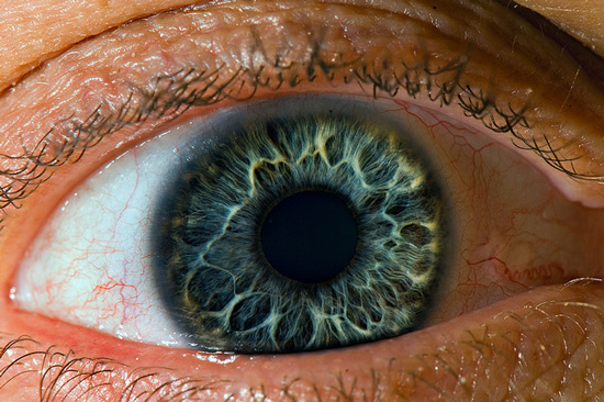 3755121_makro_glaz (550x366, 117Kb)