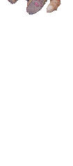 4265093_____________________ (105x237, 113Kb)