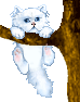 4265093_e123070ed6c05ce469a9403793e1f556 (74x94, 22Kb)