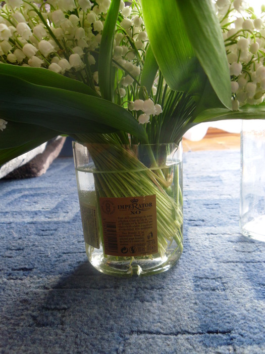 SAM_1316 (525x700, 140Kb)