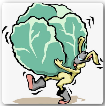 KlipArt_Rabbit_Lugging_Lettuce (349x353, 40Kb)