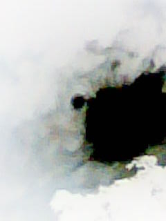 97a01afd4cf9 (240x320, 7Kb)