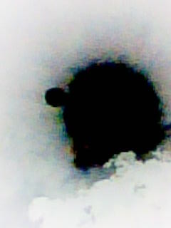 fdf169e25fe9 (240x320, 7Kb)