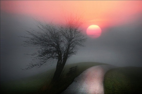 16 (600x398, 54Kb)