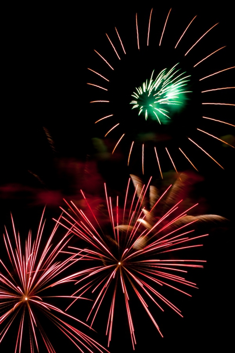 4015628_IMG_4318 (466x700, 180Kb)