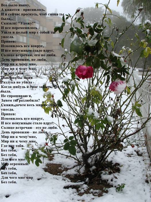 IMG_1835 (525x700, 217Kb)