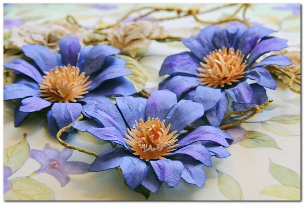 14_resize (614x413, 75Kb)