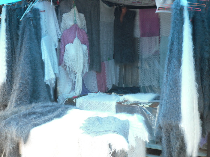 SAM_2569 (700x525, 115Kb)