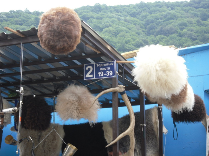 SAM_2574 (700x525, 120Kb)