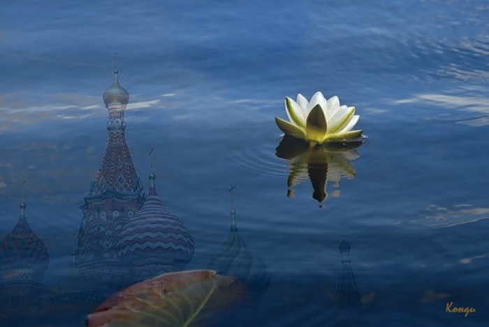 0_2058d_fd0d509f_L (700x469, 45Kb)