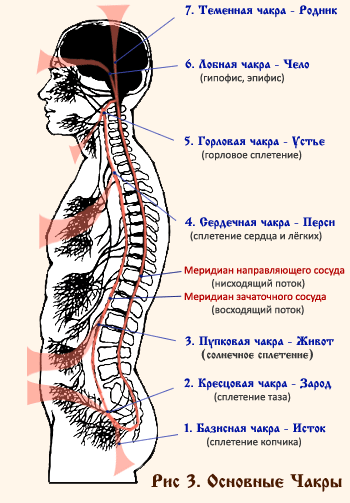 chakras (350x503, 41Kb)