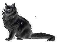 persian-cat (200x150, 9Kb)