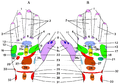          (480x340, 24Kb)