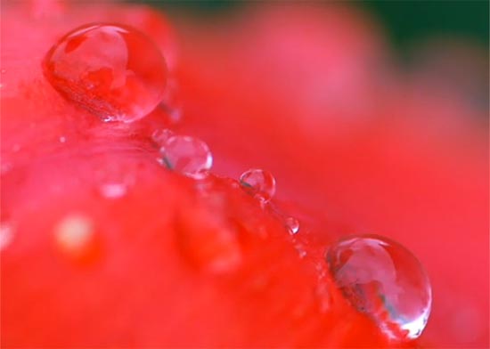 red6 (550x392, 14Kb)