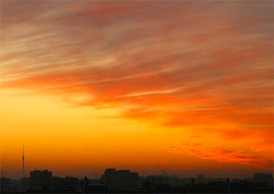 orange (550x389, 20Kb)
