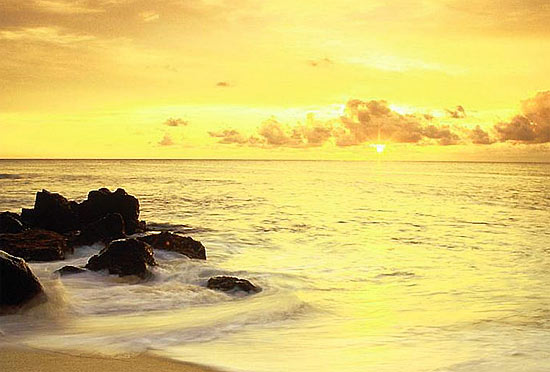 yellow4 (550x372, 43Kb)