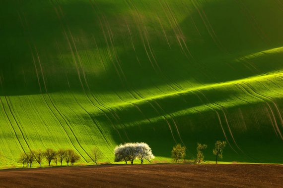 photoca714660246fa3fa5de3e5475d10e867 (570x380, 38Kb)