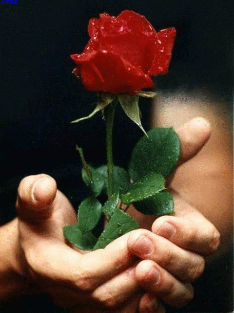 0_5bc4e_ab097f11_orig.jpg (480x640, 590Kb)
