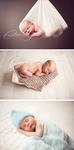  nyfødtfotografering (345x700, 64Kb)