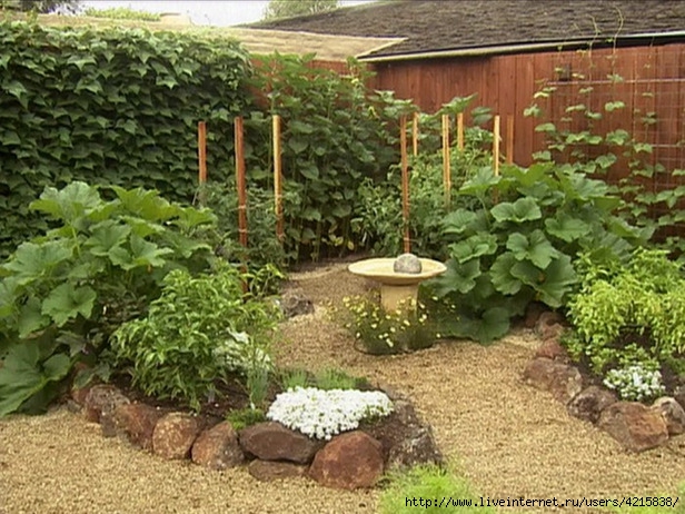 Veggie-garden-for-small-yard-ideas (616x462, 249Kb)