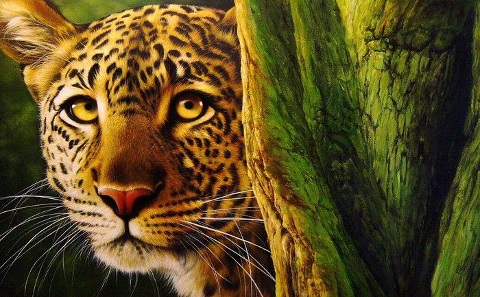 Leopard_by_Raipun (700x433, 104Kb)