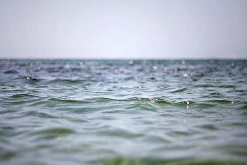 nature (2) (500x333, 65Kb)
