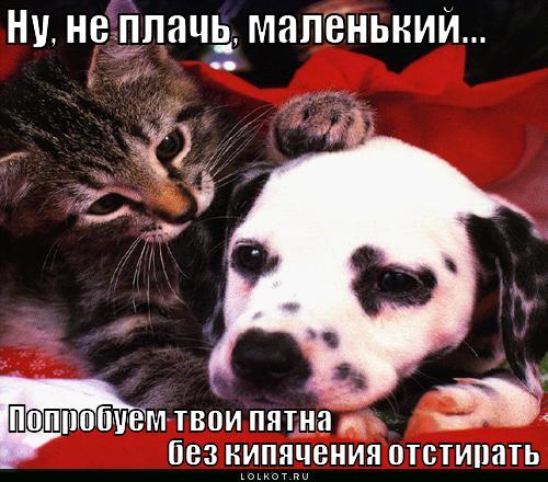 poprobuyem-otstirat_1301457365 (500x440, 56Kb)