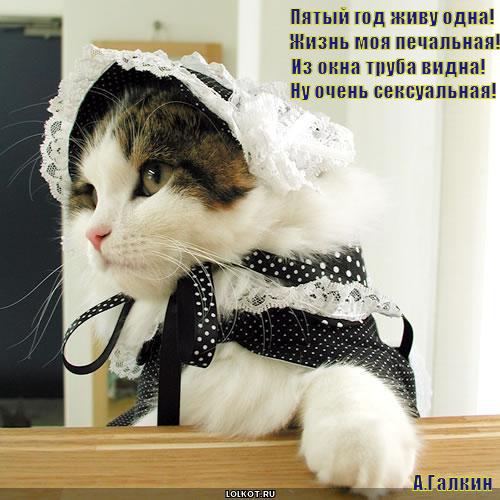 truba_1290393443 (500x500, 44Kb)