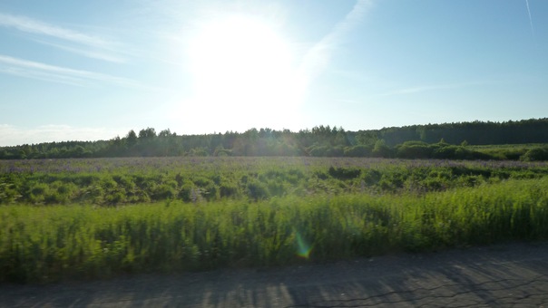 4159622_x_d160d942 (604x340, 44Kb)