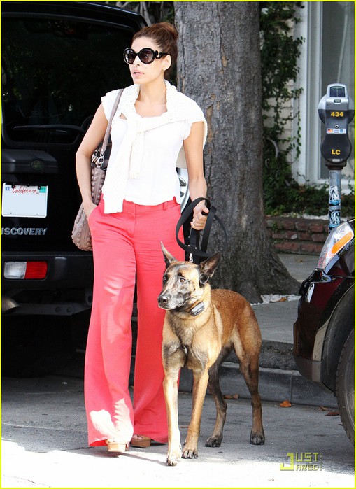 eva-mendes-dog-walk-12 (509x700, 105Kb)