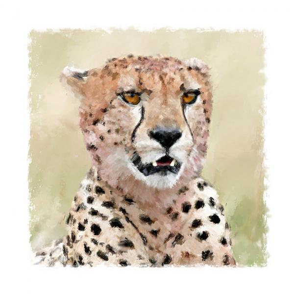 cheetah-henry-j-yasses_003 (600x600, 41Kb)