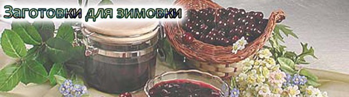 74343514_konservashki (698x194, 51Kb)