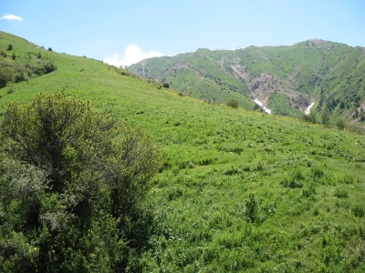  5 (400x300, 127Kb)