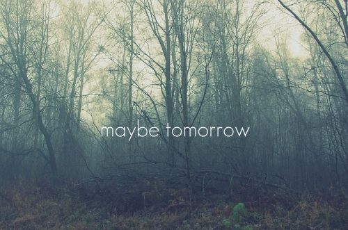 tumblr_lc3a7lVgSl1qc2qsho1_500_large (500x331, 149Kb)