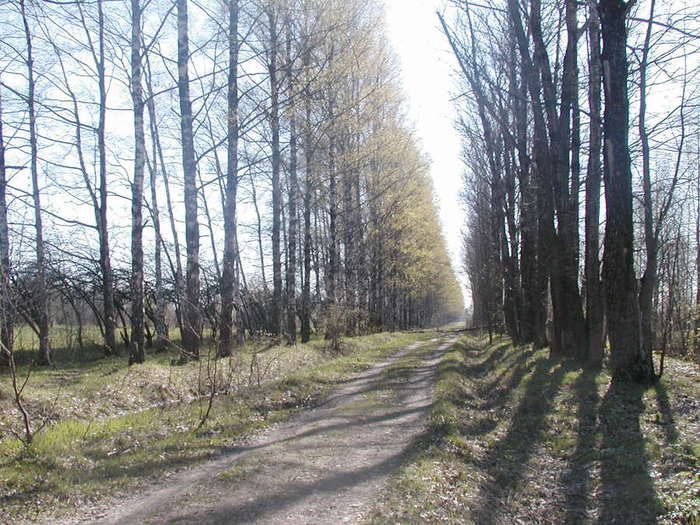 P1010002 (700x525, 81Kb)